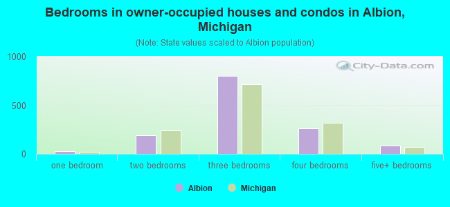 Bedrooms in owner-occupied houses and condos in Albion, Michigan