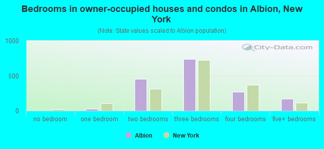 Bedrooms in owner-occupied houses and condos in Albion, New York