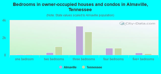 Bedrooms in owner-occupied houses and condos in Almaville, Tennessee