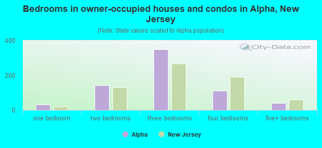 Bedrooms in owner-occupied houses and condos in Alpha, New Jersey