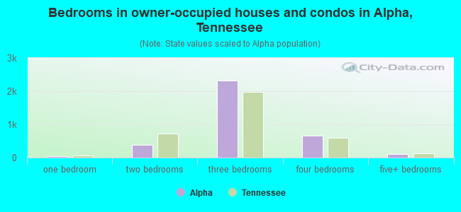 Bedrooms in owner-occupied houses and condos in Alpha, Tennessee