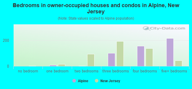 Bedrooms in owner-occupied houses and condos in Alpine, New Jersey