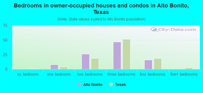 Bedrooms in owner-occupied houses and condos in Alto Bonito, Texas