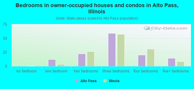 Bedrooms in owner-occupied houses and condos in Alto Pass, Illinois