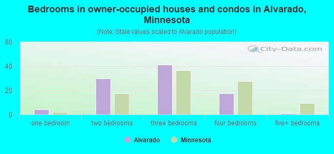 Bedrooms in owner-occupied houses and condos in Alvarado, Minnesota