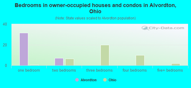 Bedrooms in owner-occupied houses and condos in Alvordton, Ohio