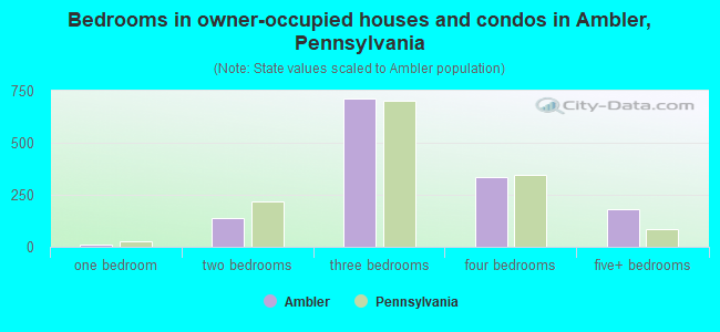 Bedrooms in owner-occupied houses and condos in Ambler, Pennsylvania