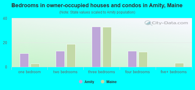 Bedrooms in owner-occupied houses and condos in Amity, Maine