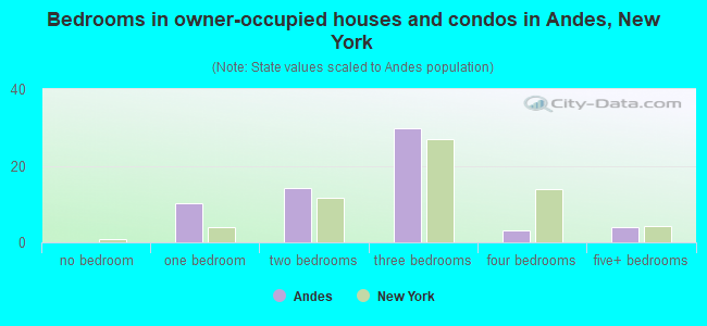 Bedrooms in owner-occupied houses and condos in Andes, New York