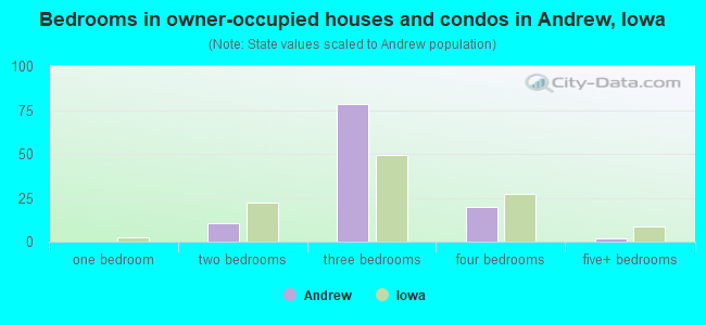 Bedrooms in owner-occupied houses and condos in Andrew, Iowa