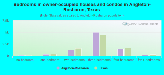 Bedrooms in owner-occupied houses and condos in Angleton-Rosharon, Texas