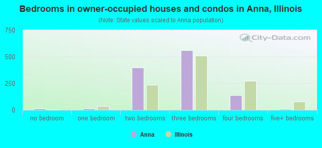 Bedrooms in owner-occupied houses and condos in Anna, Illinois
