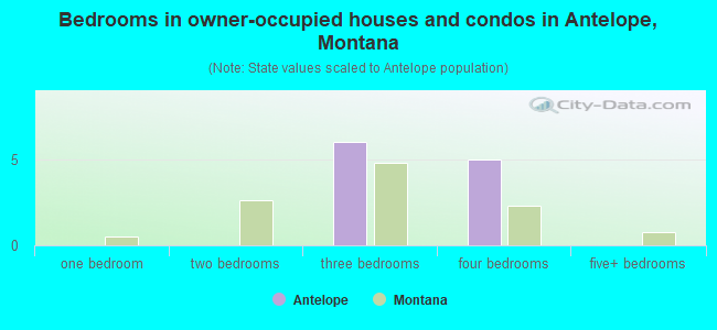 Bedrooms in owner-occupied houses and condos in Antelope, Montana