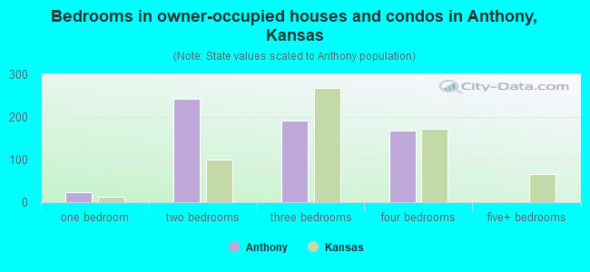 Bedrooms in owner-occupied houses and condos in Anthony, Kansas