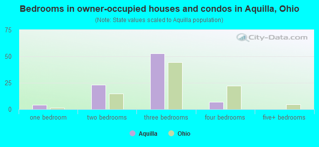 Bedrooms in owner-occupied houses and condos in Aquilla, Ohio