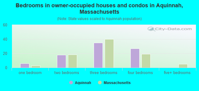 Bedrooms in owner-occupied houses and condos in Aquinnah, Massachusetts