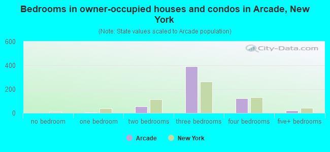 Bedrooms in owner-occupied houses and condos in Arcade, New York