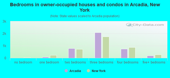 Bedrooms in owner-occupied houses and condos in Arcadia, New York
