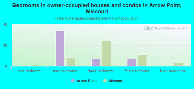 Bedrooms in owner-occupied houses and condos in Arrow Point, Missouri