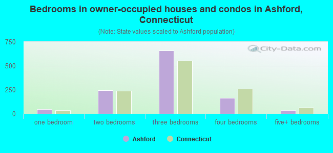 Bedrooms in owner-occupied houses and condos in Ashford, Connecticut