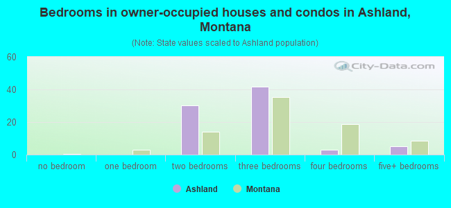 Bedrooms in owner-occupied houses and condos in Ashland, Montana