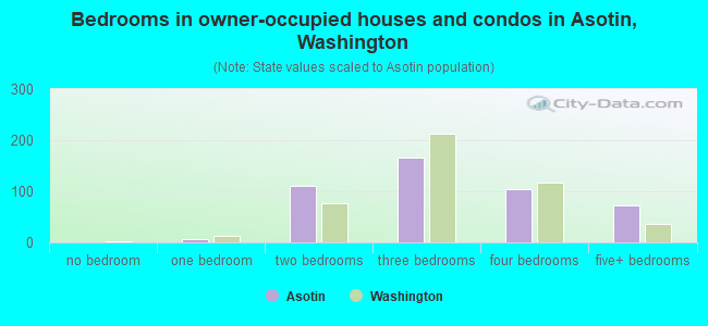 Bedrooms in owner-occupied houses and condos in Asotin, Washington