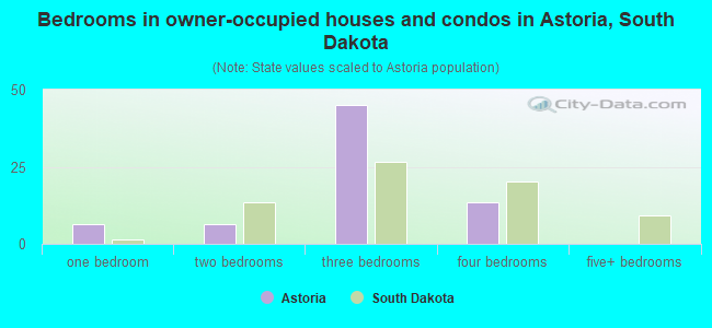 Bedrooms in owner-occupied houses and condos in Astoria, South Dakota