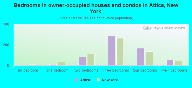 Bedrooms in owner-occupied houses and condos in Attica, New York