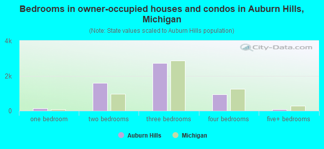 Bedrooms in owner-occupied houses and condos in Auburn Hills, Michigan