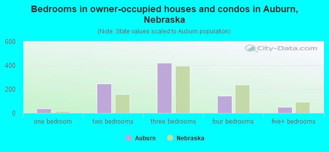 Bedrooms in owner-occupied houses and condos in Auburn, Nebraska