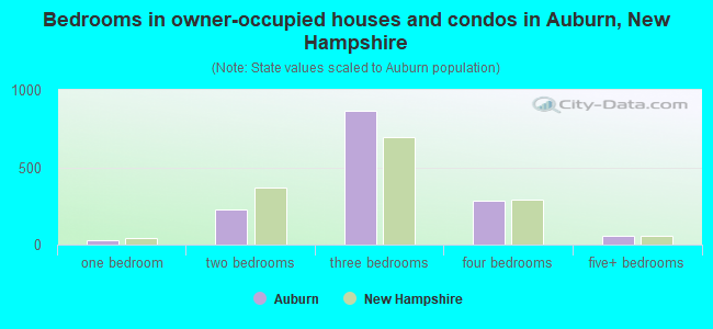 Bedrooms in owner-occupied houses and condos in Auburn, New Hampshire