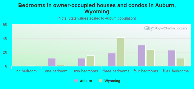 Bedrooms in owner-occupied houses and condos in Auburn, Wyoming