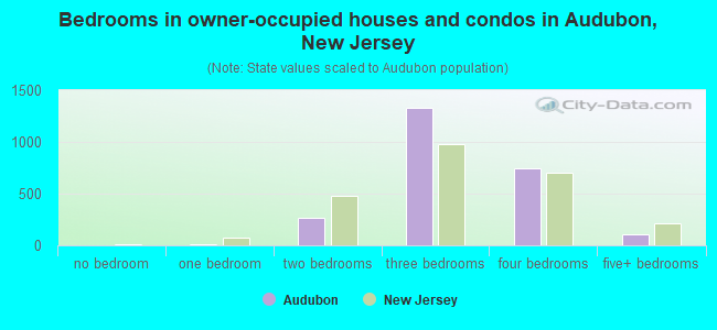 Bedrooms in owner-occupied houses and condos in Audubon, New Jersey