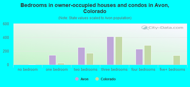 Bedrooms in owner-occupied houses and condos in Avon, Colorado