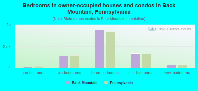 Bedrooms in owner-occupied houses and condos in Back Mountain, Pennsylvania