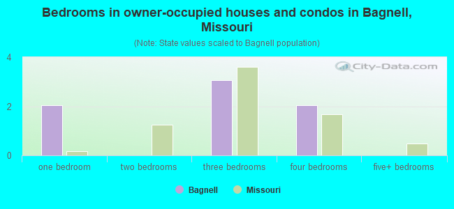 Bedrooms in owner-occupied houses and condos in Bagnell, Missouri