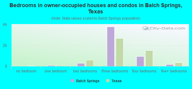 Bedrooms in owner-occupied houses and condos in Balch Springs, Texas