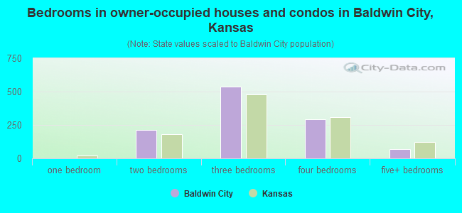 Bedrooms in owner-occupied houses and condos in Baldwin City, Kansas