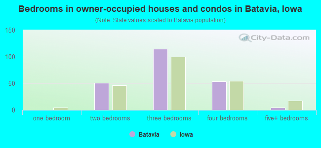 Bedrooms in owner-occupied houses and condos in Batavia, Iowa
