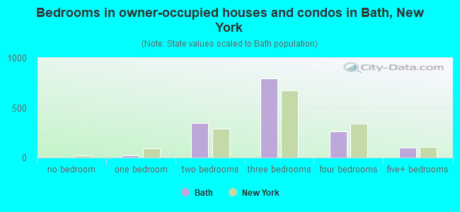 Bedrooms in owner-occupied houses and condos in Bath, New York