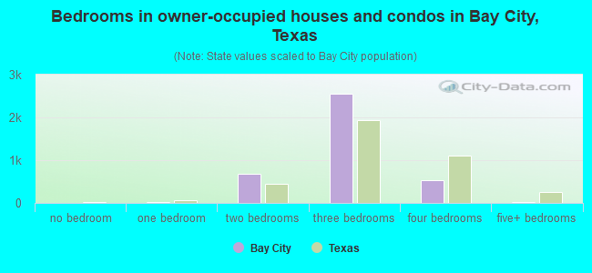 Bedrooms in owner-occupied houses and condos in Bay City, Texas