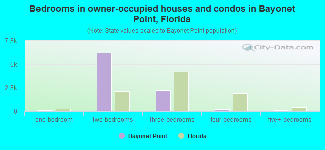 Bedrooms in owner-occupied houses and condos in Bayonet Point, Florida