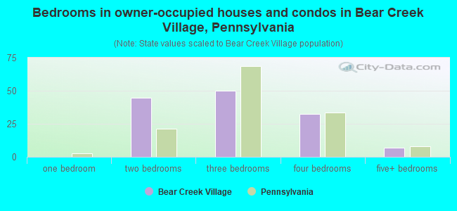 Bedrooms in owner-occupied houses and condos in Bear Creek Village, Pennsylvania