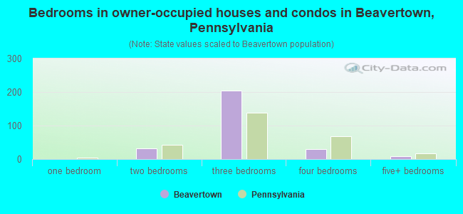 Bedrooms in owner-occupied houses and condos in Beavertown, Pennsylvania