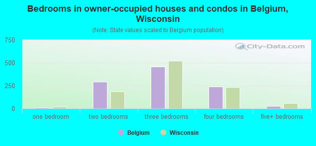 Bedrooms in owner-occupied houses and condos in Belgium, Wisconsin