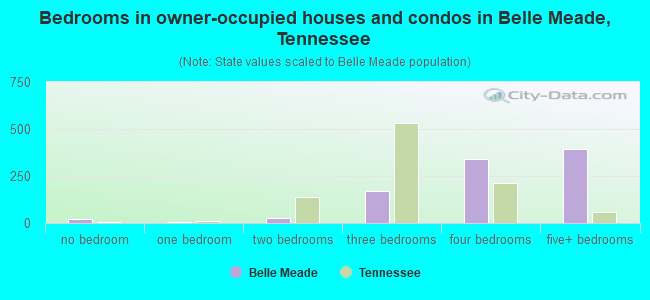 Bedrooms in owner-occupied houses and condos in Belle Meade, Tennessee