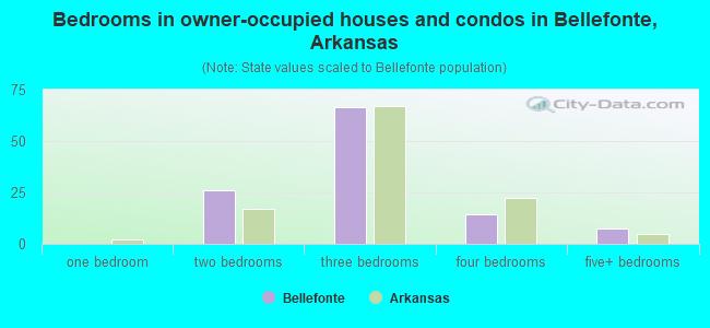 Bedrooms in owner-occupied houses and condos in Bellefonte, Arkansas