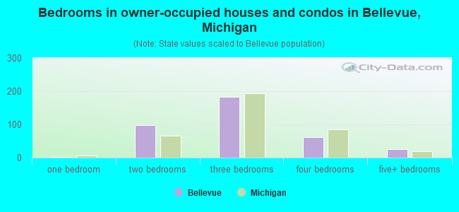Bedrooms in owner-occupied houses and condos in Bellevue, Michigan