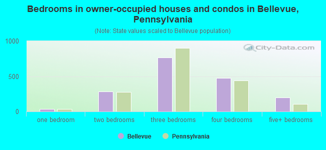 Bedrooms in owner-occupied houses and condos in Bellevue, Pennsylvania