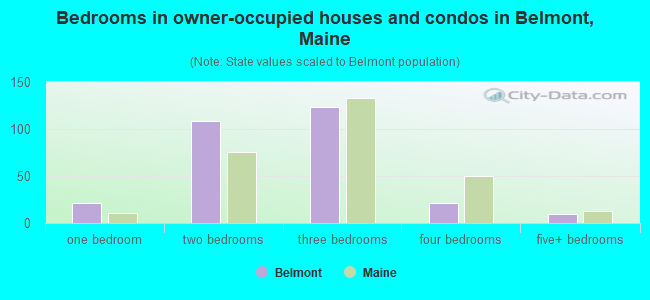 Bedrooms in owner-occupied houses and condos in Belmont, Maine